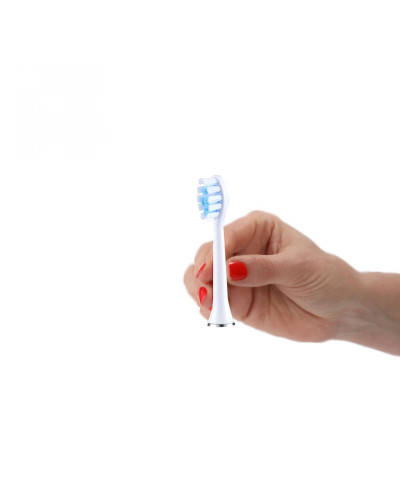 НАСАДКИ ДЛЯ УЛЬТРАЗВУКОВОЙ ЗУБНОЙ ЩЕТКИ MEDICA + PROBRUSH 9.0 (ULTASONIC) WHITE (4 ШТУКИ) НАСАДКИ ДЛЯ УЛЬТРАЗВУКОВОЙ ЗУБНОЙ ЩЕТКИ MEDICA + PROBRUSH 9.0 (ULTASONIC) WHITE (4 ШТУКИ)